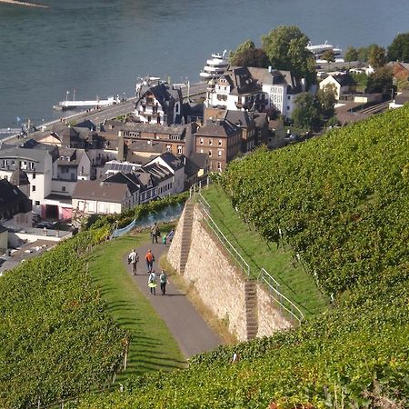 Hotel Gasthof Schuster Und Gaestehaus Rüdesheim am Rhein Εξωτερικό φωτογραφία
