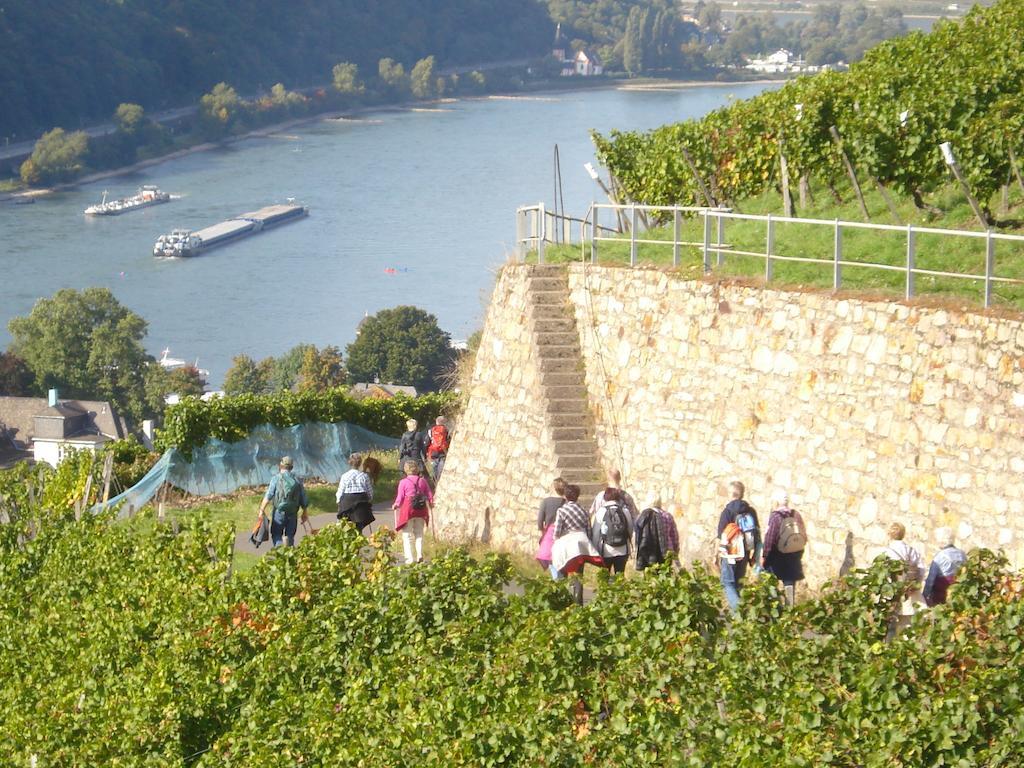Hotel Gasthof Schuster Und Gaestehaus Rüdesheim am Rhein Εξωτερικό φωτογραφία
