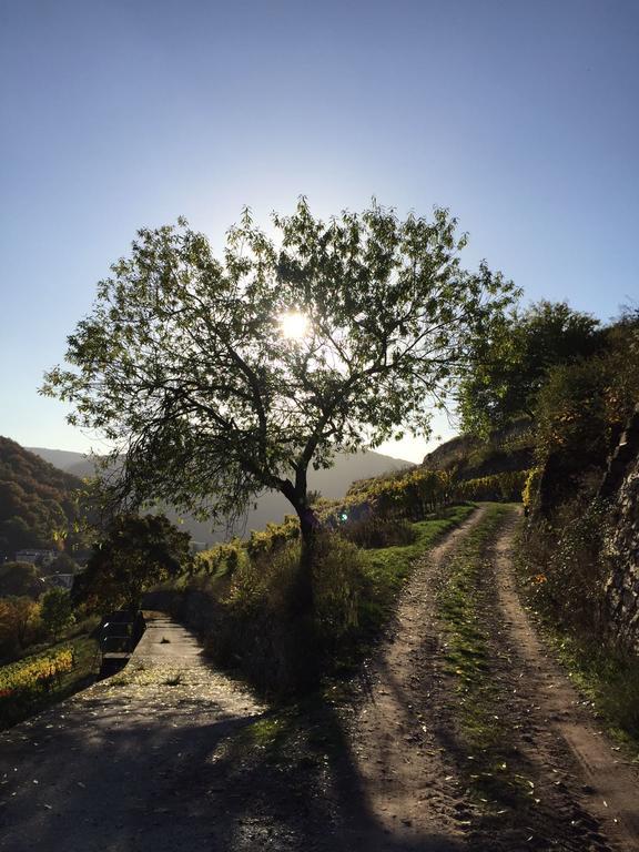 Hotel Gasthof Schuster Und Gaestehaus Rüdesheim am Rhein Εξωτερικό φωτογραφία